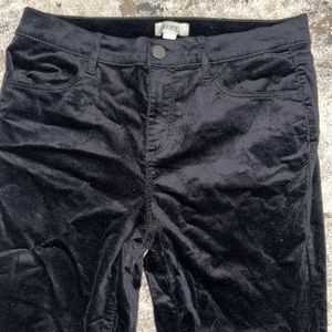 Loft Outlet Pants